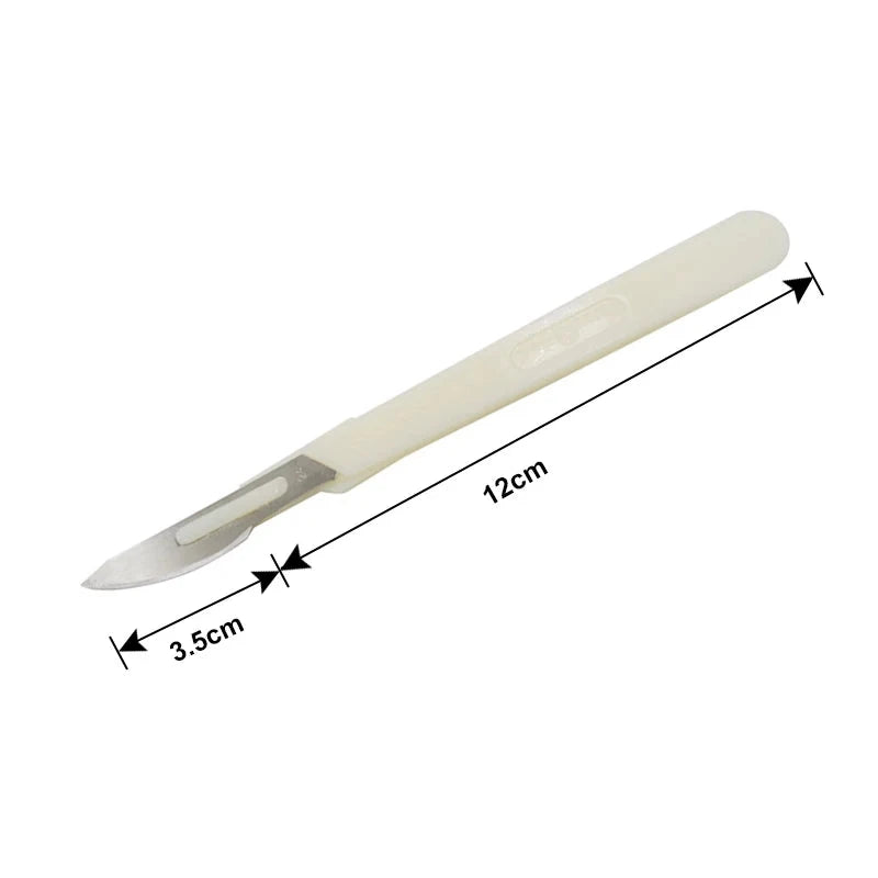 WALFOS European Bread Arc Curved Bread Knife Western-style Baguette Cutting Cutter Pastry Bagel Home Kitchen Or Restaurant Tools - Walfos® Kitchenware