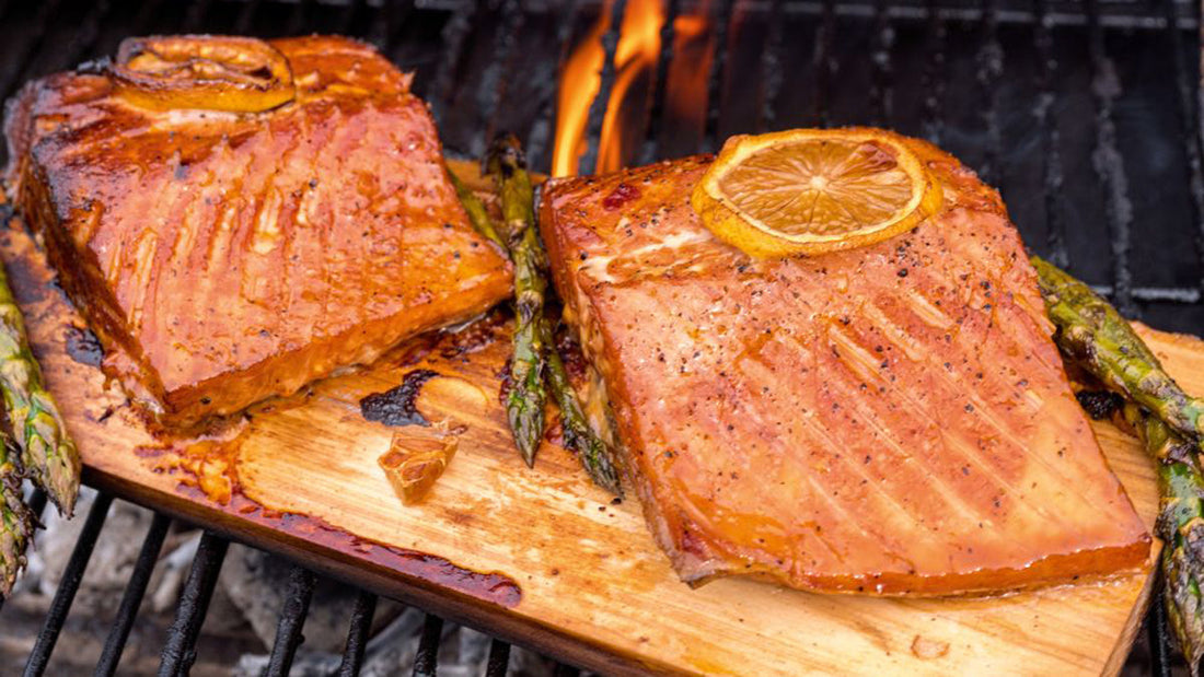 10 Best What Wood is for Smoking Salmon (Reviews)