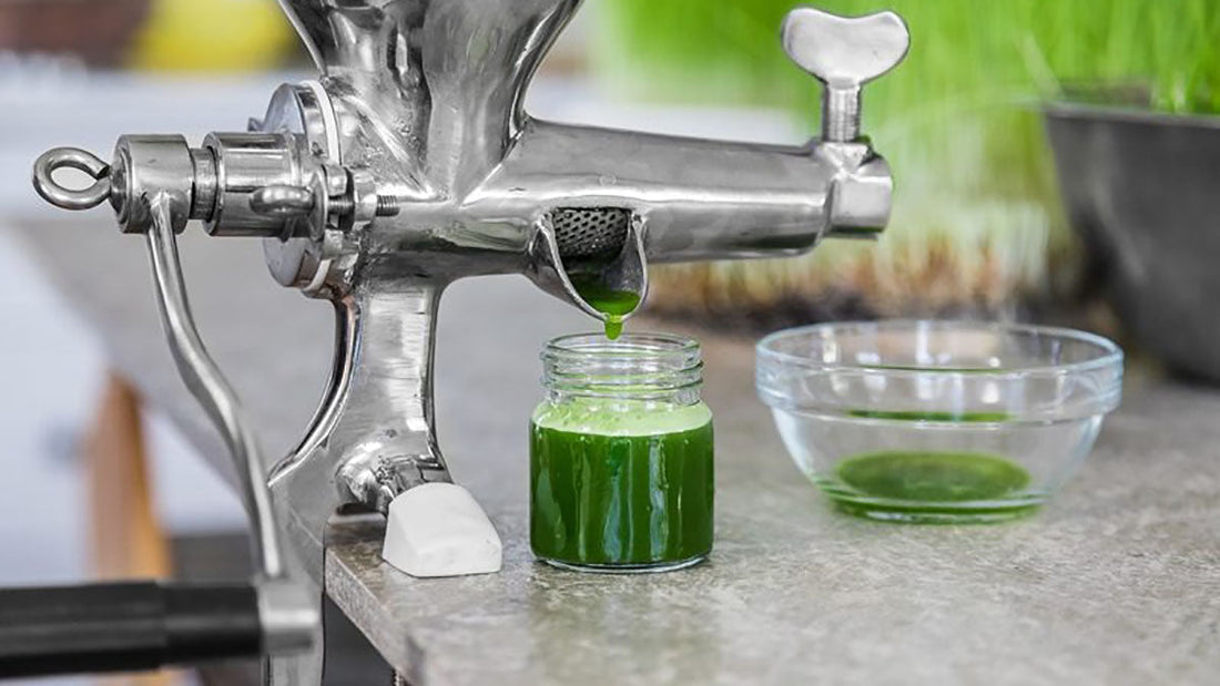 Best Juicer for Wheatgrass