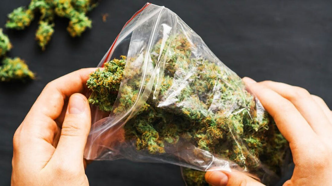 Best Vacuum Sealer Cannabis Buds