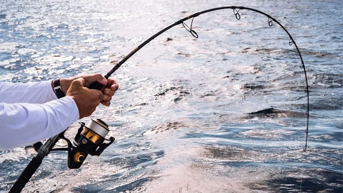 Best Saltwater Fishing Rods - Grand Goldman