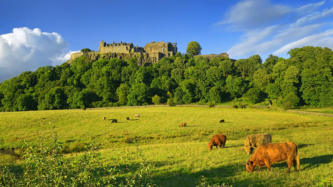 20 tips for travelling to Scotland (and not screwing it up)
