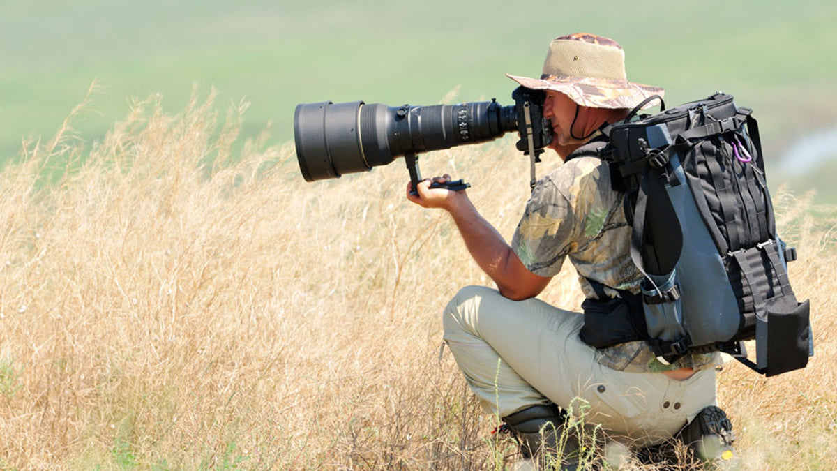 Best Camera for Pet Photography