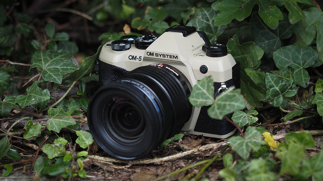 Best M43 Camera 