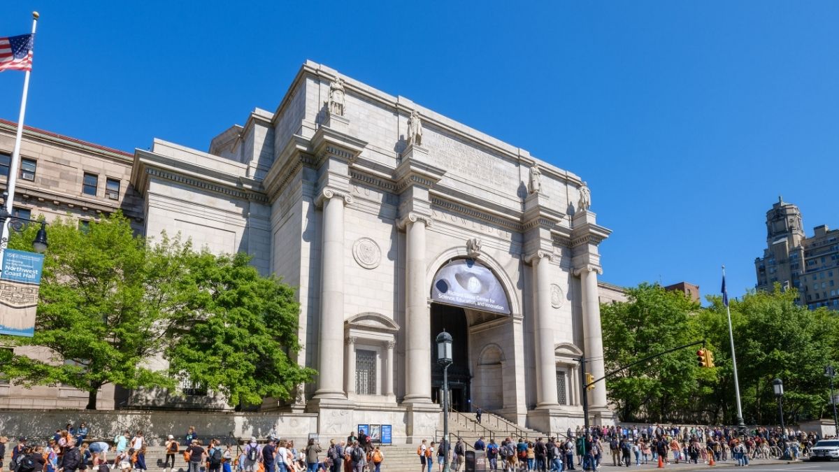 Best Museums New York - Grand Goldman