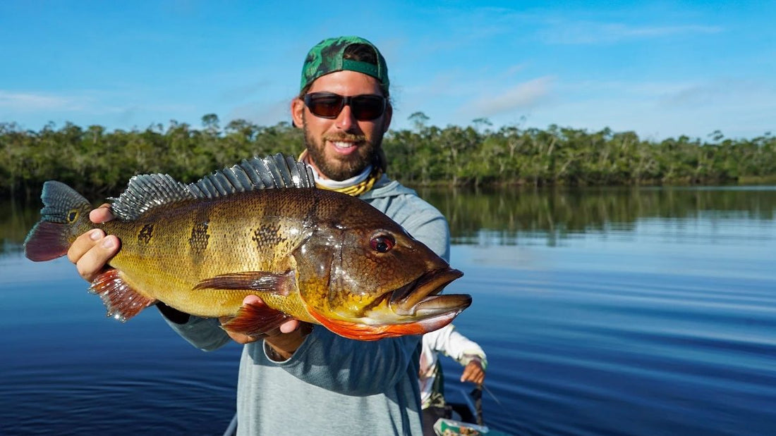 Best Spots Where to Fish for Peacock Bass in Florida - Grand Goldman