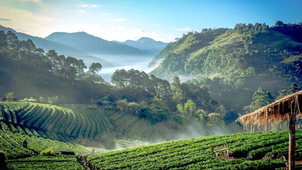 Best Things to Do Chiang Dao Thailand - Grand Goldman