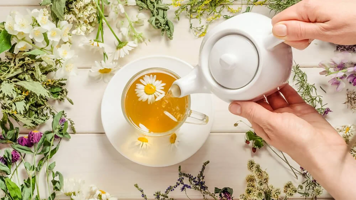 Best Chamomile Tea - Grand Goldman