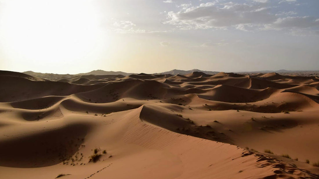 Excursion to the Merzouga desert (Erg Chebbi)