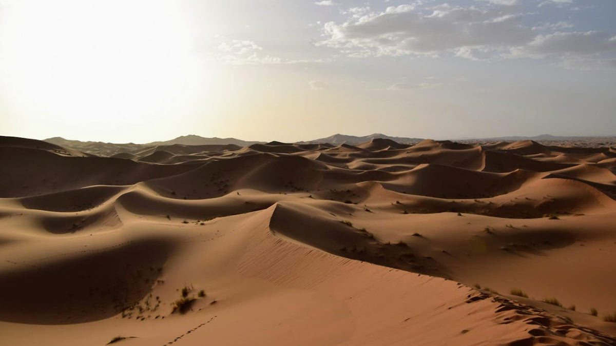 Excursion to the Merzouga desert (Erg Chebbi)