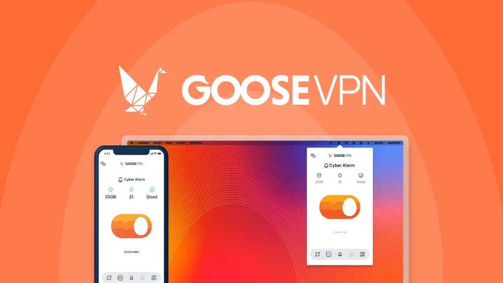 GOOSE VPN Review - Grand Goldman