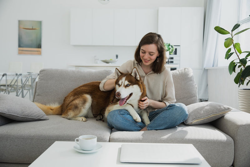 Indoor Air Quality Monitoring: Full Guide for a Healthier Smart Home (Breathe better) Grand Goldman
