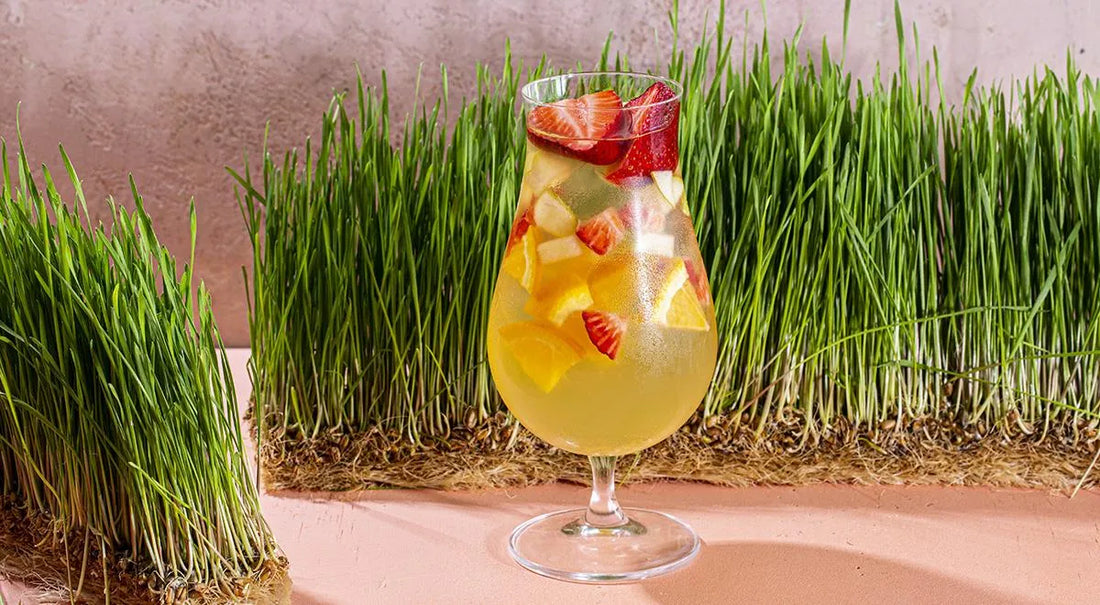 Honey Sangria - Walfosbrand.com