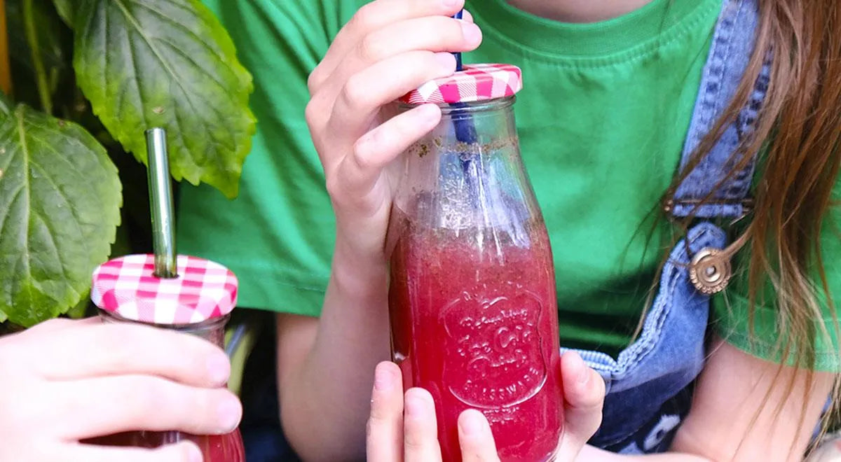 Blackberry Mint Lemonade - Walfosbrand.com