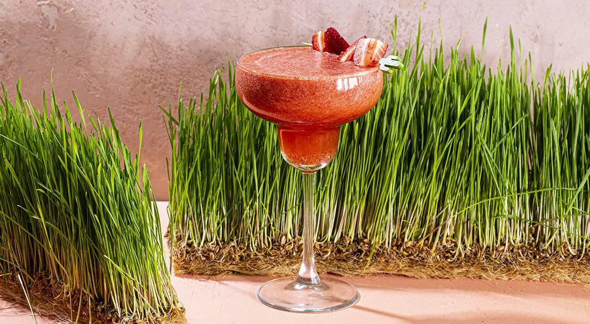 Strawberry Margarita - Walfosbrand.com