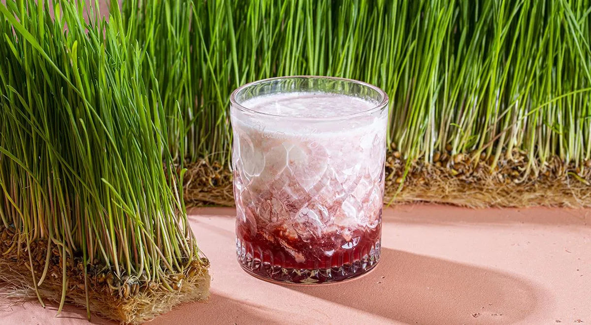 The Strawberry Russian - Walfosbrand.com