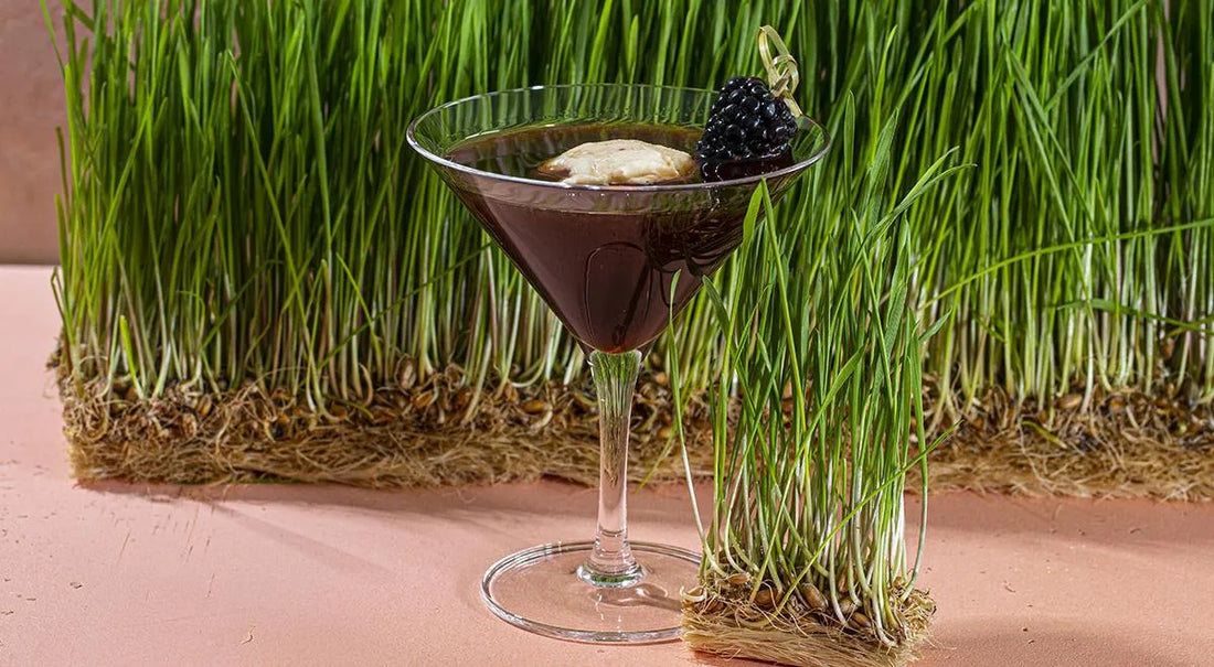 Naomi Craft Cocktail with Fresh Berries and Ice Cream - Walfosbrand.com
