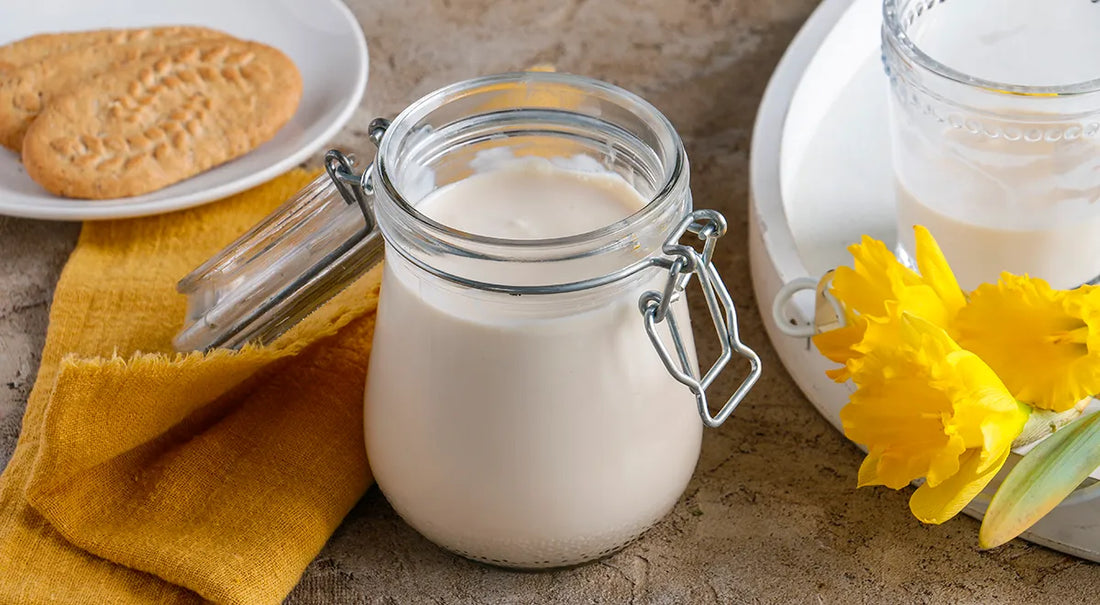 Homemade Ryazhenka: The Ultimate Russian Baked Fermented Milk Recipe - Walfosbrand.com