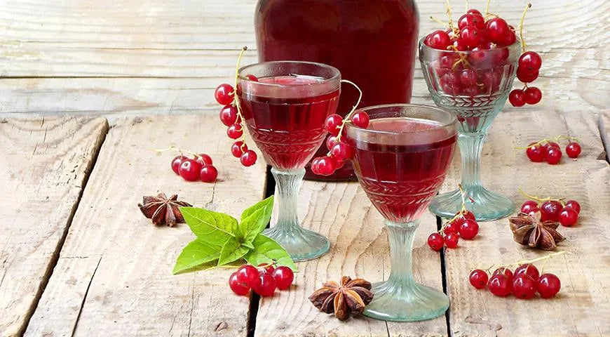 Red Currant Nalivka: A Traditional Russian Berry Liqueur - Walfosbrand.com