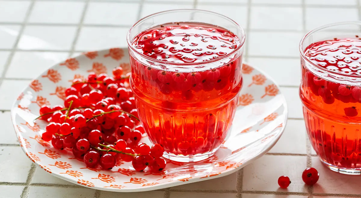 Red Currant Compote for Winter: A Ruby-Red Elixir of Summer - Walfosbrand.com