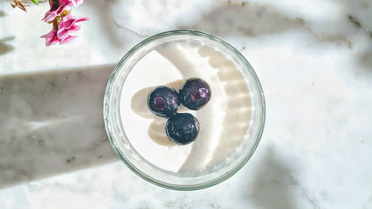 Light panna cotta
