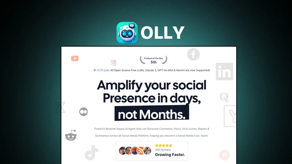Olly Review: What You Need to Know