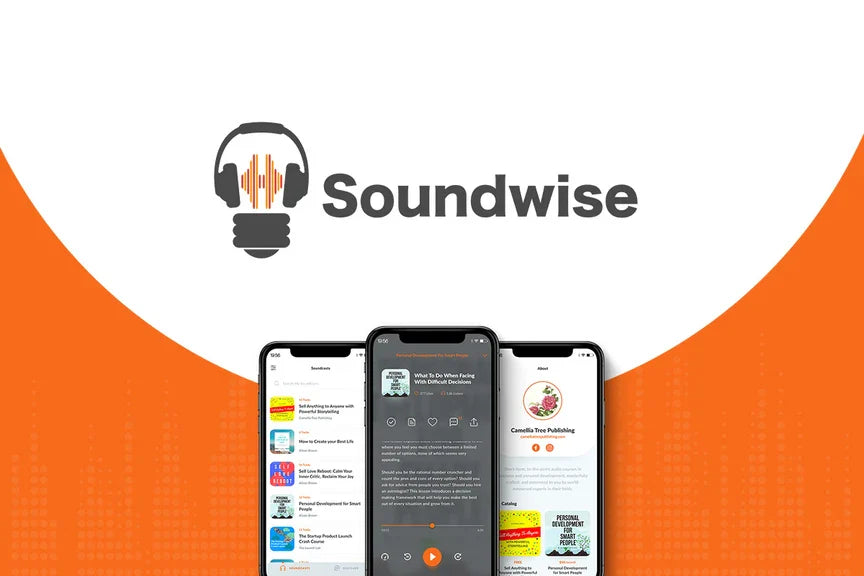 Soundwise Essentials Plan Review: The Pros and Cons