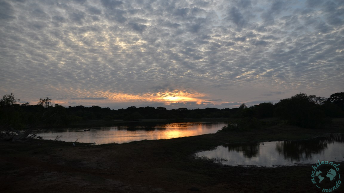 Sri Lanka backpacker's guide