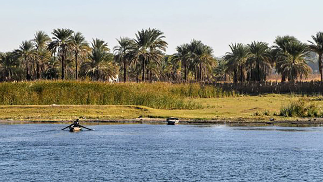The Best Nile Cruise (2025): Everything You Need to Know