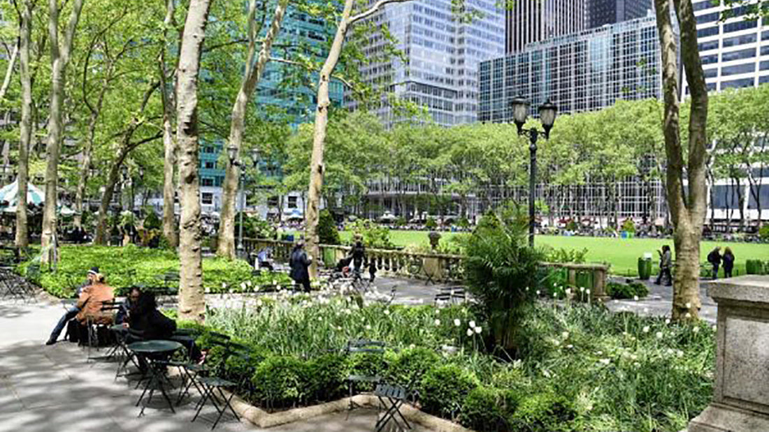 The best free tours in New York (in Spanish)