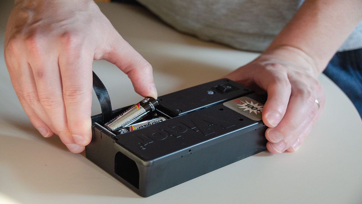 Best Mouse Bait -  Grand Goldman