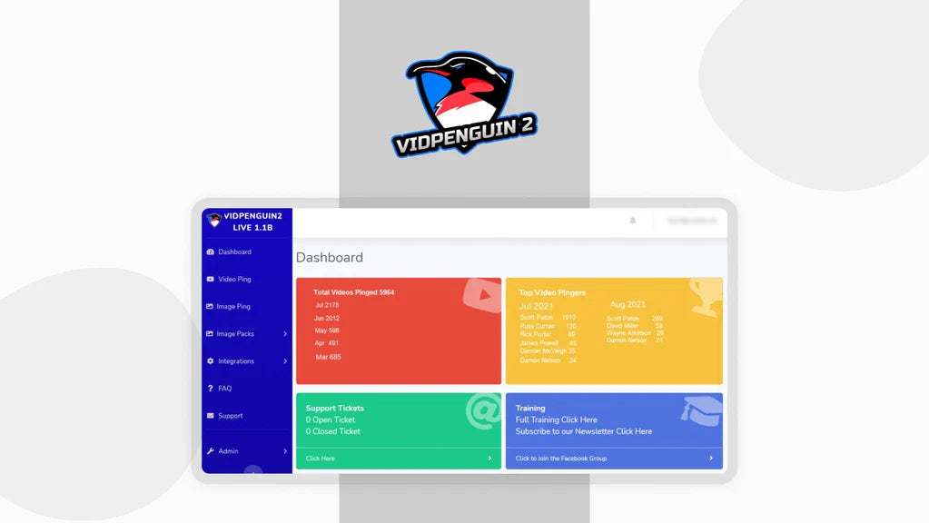 VidPenguin2 Review: Before You Make a Decision