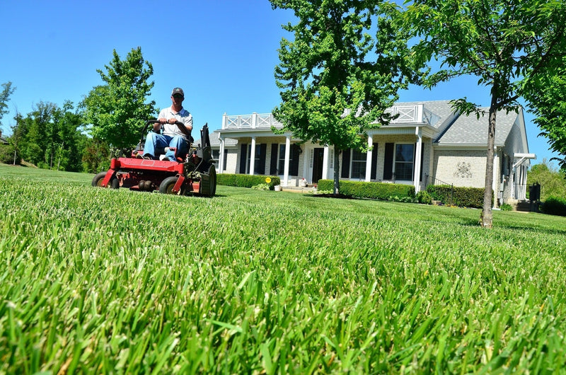 Weather-Based Lawn Maintenance Automation: A Smarter Approach to Greener Grass Grand Goldman