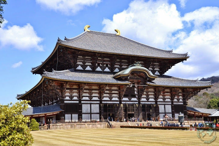 What to do in Nara: a day trip between temples and deer