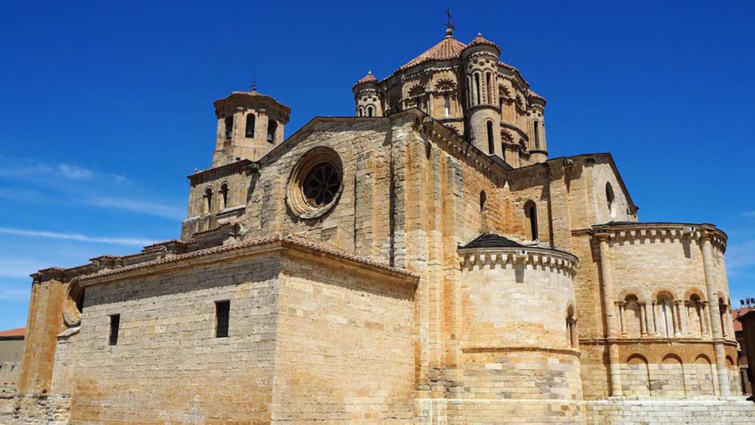 What to see in Toro (Zamora), the city of wine