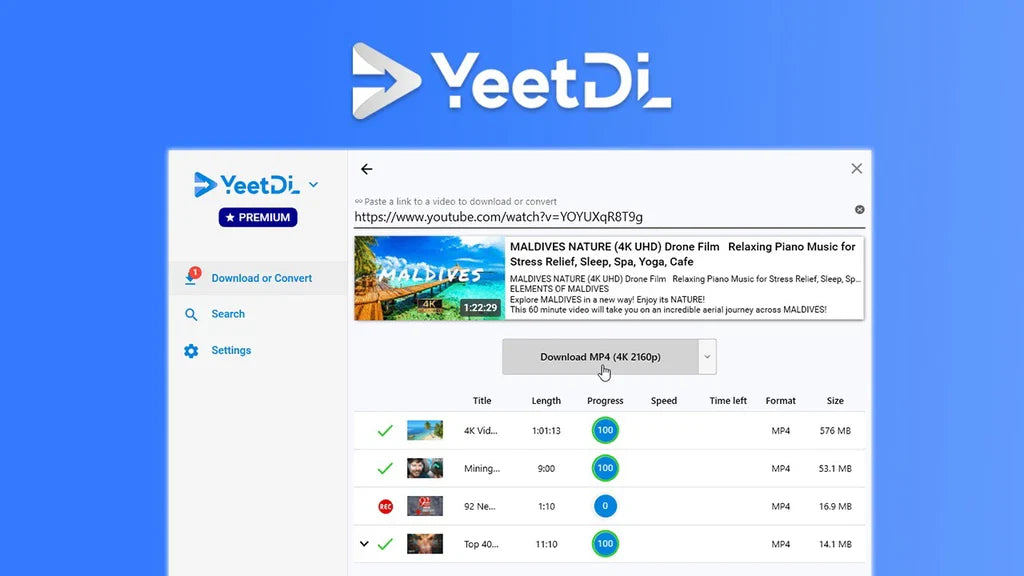 YeetDL Review: Don't Buy Until You Read This