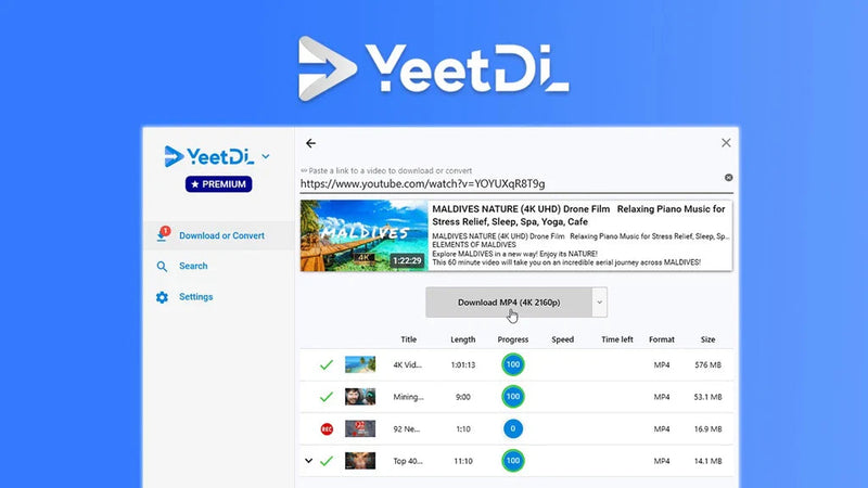 YeetDL Review: Don't Buy Until You Read This