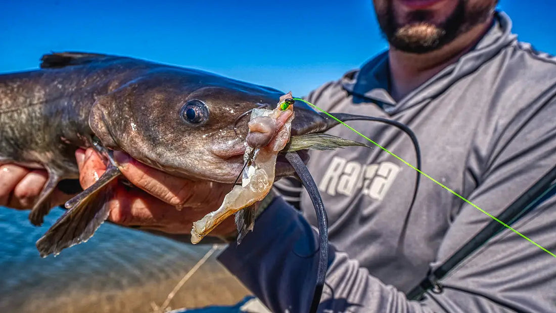 Best Catfish Bait - Grand Goldman