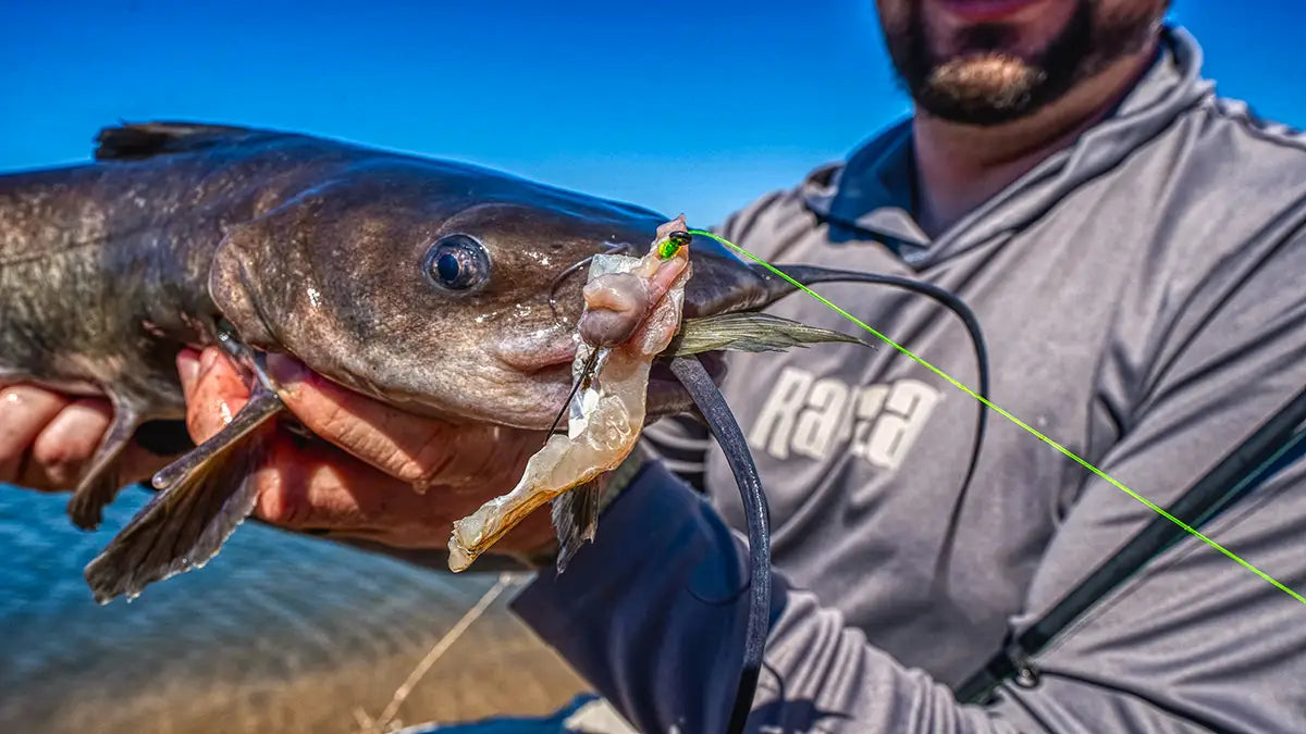 Best Catfish Bait - Grand Goldman