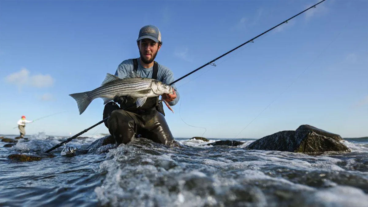 Best Surf Fishing Rods - Grand Goldman