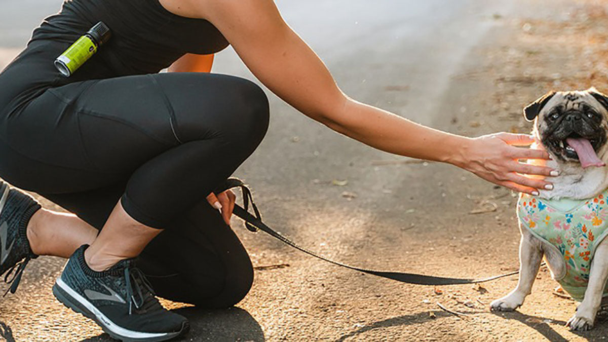 Best Pepper Spray for Dogs - Grand Goldman