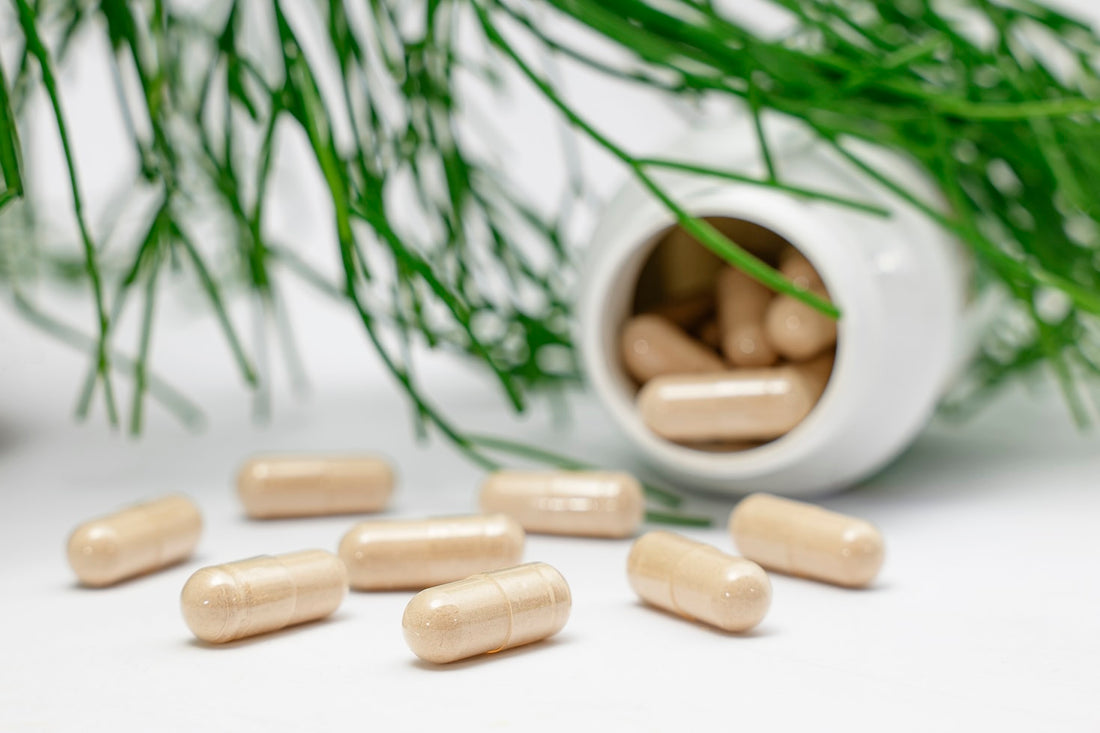 Cellular Solutions: The Science of Cellular-Level Healing