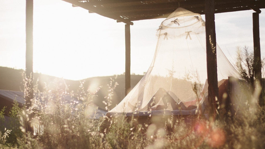 Equip your home with the best mosquito nets