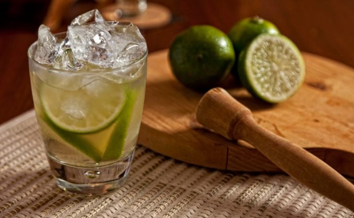 7 recipes with steinhaeger to make a successful drink in seconds - Walfosbrand.com
