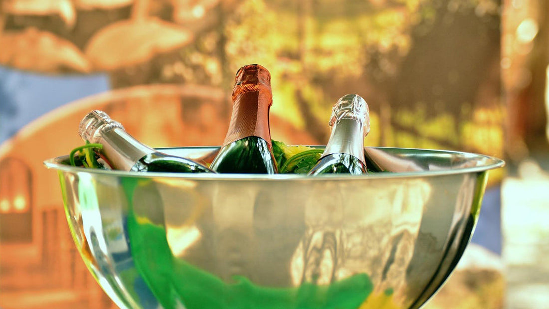 Keep your wine at a good temperature: types of coolers