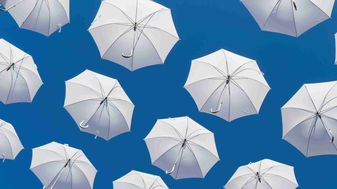 The best windproof folding umbrellas