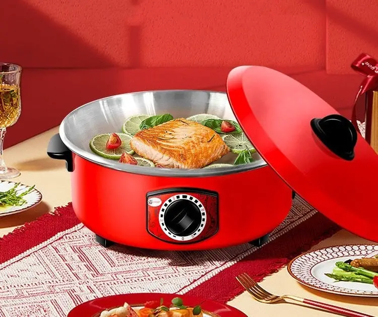 Multifunctional Electric Cookers - Walfos kitchenware