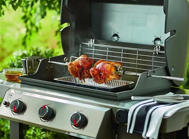 WALFOS - Rotisserie Grills - collection