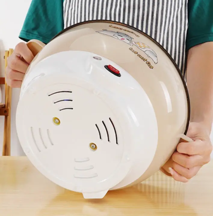 Household electric cooker