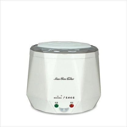 Mini rice cooker